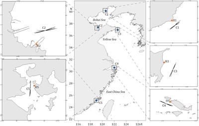 Quasi-harmonic analysis of fortnightly suspended sediment response to semi-diurnal tidal currents